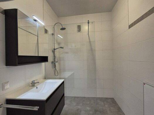 Wohnung zur Miete 495 € 2 Zimmer 36 m² 1. Geschoss Ternitz 2630