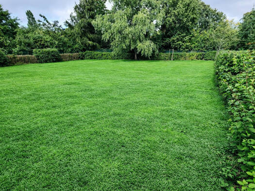 Grundstück zum Kauf 199.000 € 448 m² Grundstück Mahlsdorf Berlin 12623