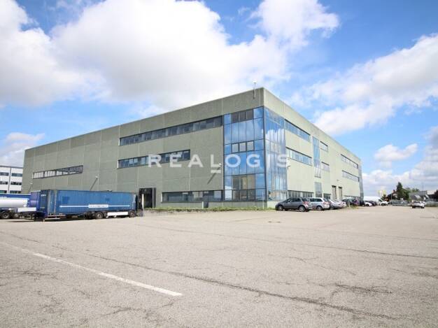 Halle/Industriefläche zur Miete 5.000 m² Lagerfläche teilbar ab 1.250 m² Gernsheim Gernsheim 64579