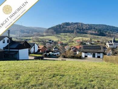 Grundstück zum Kauf 129.000 € 1.092 m² Grundstück Boxtal Freudenberg 97896