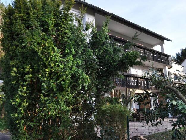 Mehrfamilienhaus zum Kauf provisionsfrei 900.000 € 20 Zimmer 653 m² 1.470 m² Grundstück Bad Liebenzell 75378