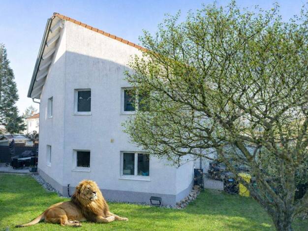 Reihenendhaus zum Kauf 439.000 € 5 Zimmer 140,9 m² 253 m² Grundstück Groß-Zimmern 64846