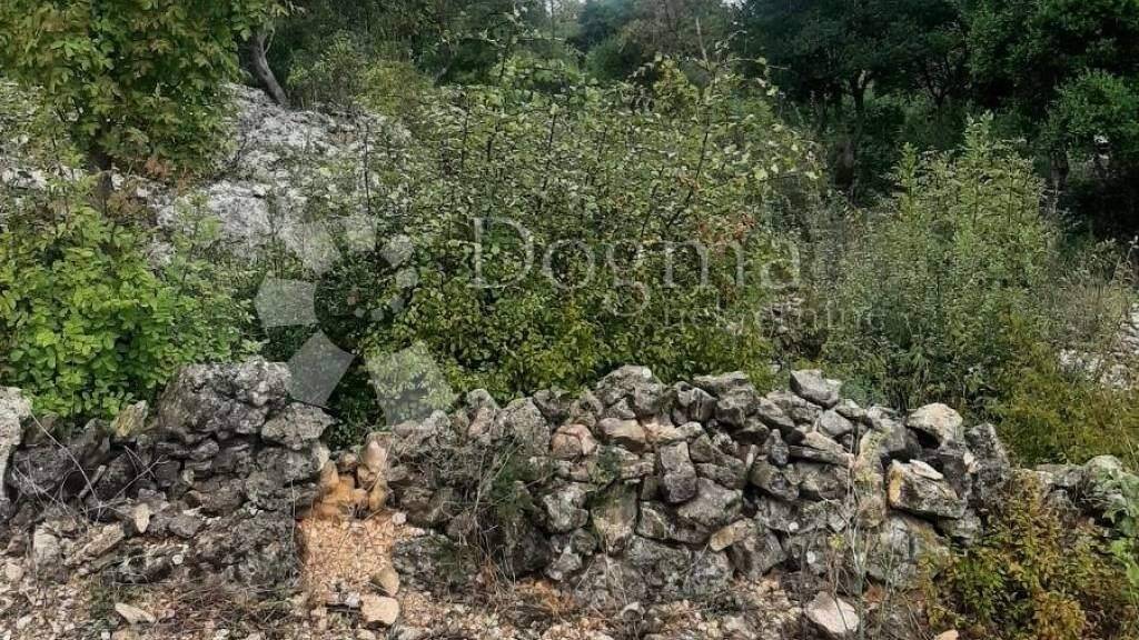 Land-/Forstwirtschaft zum Kauf 42.000 € Novigrad