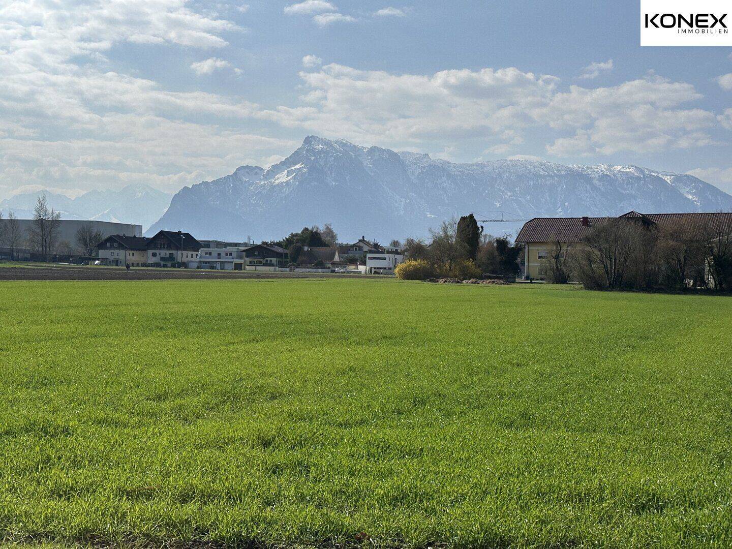Land