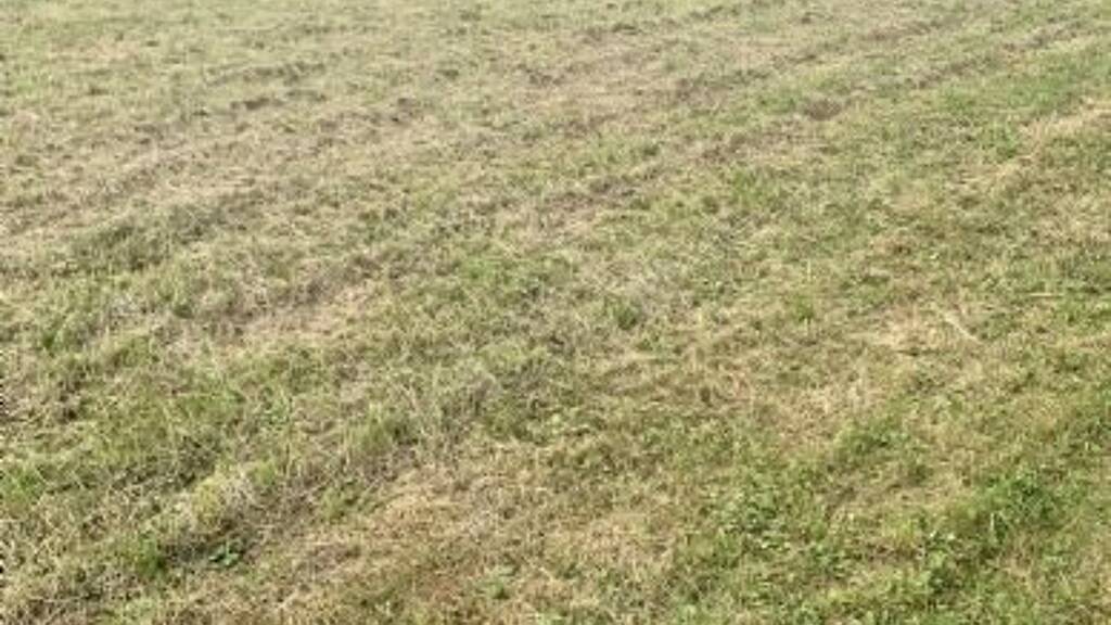 Grundstück zum Kauf 25.000 € 1.000 m² Grundstück Zalakaros 8749