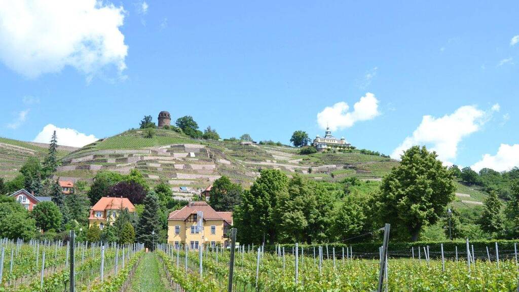 Außenstellplatz zur Miete provisionsfrei Radebeul 01445