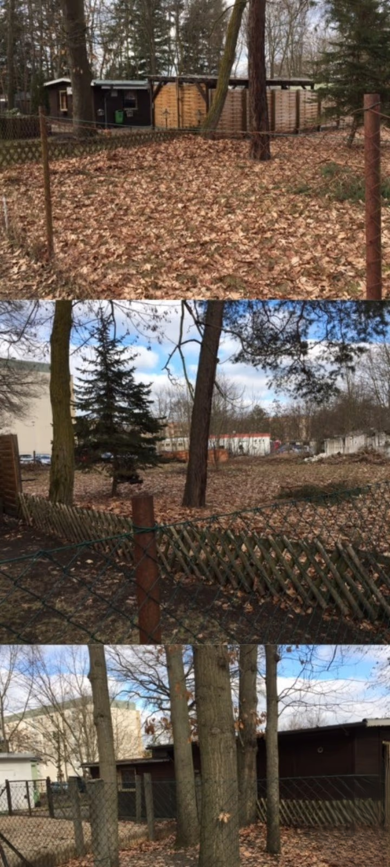 Grundstück zum Kauf 112.145 € 2.000 m² Grundstück Kolkwitz Brandenburg - Kolkwitz 03099
