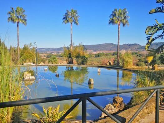 Landhaus zum Kauf provisionsfrei 999.000 € 7 Zimmer 285 m² 49.889 m² Grundstück Arcos de la Frontera 11630