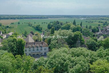 Schloss zum Kauf 3.950.000 € 20 Zimmer 1.207 m² 43.480 m² Grundstück Centre Ville Beaune 21200