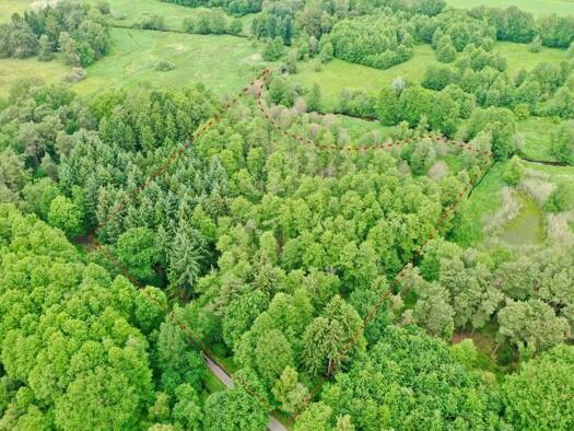 Forstwirtschaft zum Kauf 19.906 m² Grundstück Scheeßel Scheeßel / Westervesede 27383
