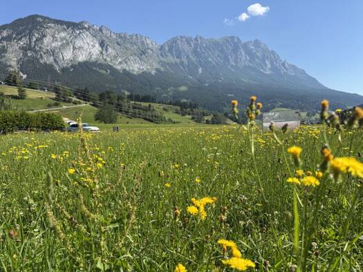 Grundstück zum Kauf 175.000 € 972 m² Grundstück Mitterberg-Sankt Martin 8962