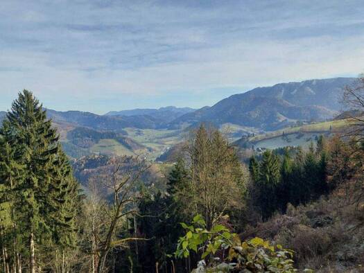 Grundstück zum Kauf 12.340 € 8.227 m² Grundstück Gresten-Land 3264