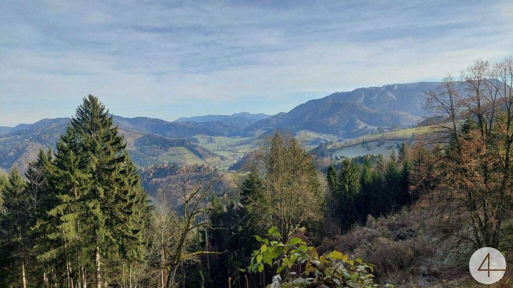 Grundstück zum Kauf 12.340 € 8.227 m² Grundstück Gresten-Land 3264