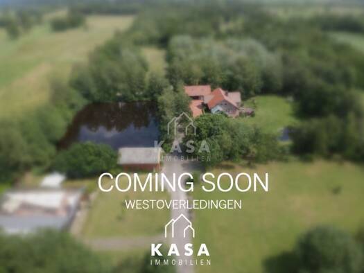 Einfamilienhaus zum Kauf 7 Zimmer 260 m² 20.000 m² Grundstück Großwolderfeld Westoverledingen 26810