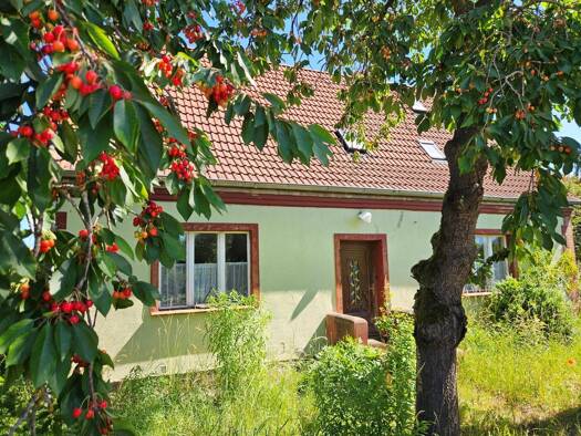 Bauernhaus zum Kauf provisionsfrei 138.500 € 5 Zimmer 125 m² 5.208 m² Grundstück frei ab sofort Japenzin Spantekow 17392