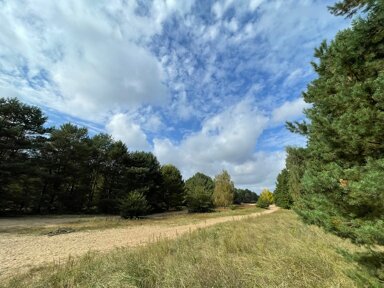 Forstwirtschaft zum Kauf 30.000 € 8.206 m² Grundstück Schönfließ Schönfließ 16567