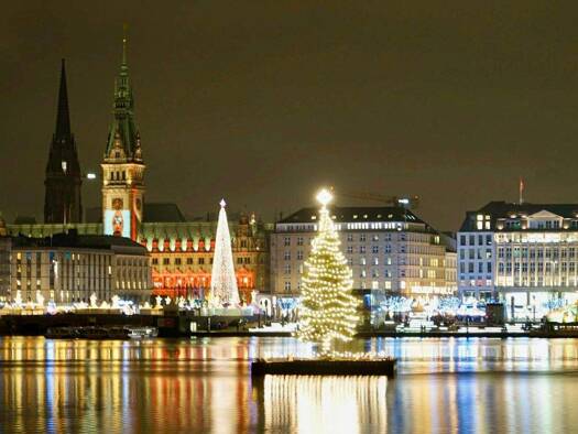 Haus zum Kauf 799.000 € 7 Zimmer 300 m² 835 m² Grundstück Rade Tangstedt 22889