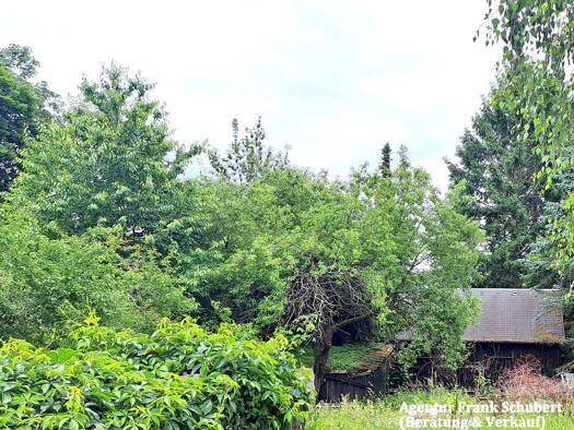 Grundstück zum Kauf 44.500 € 890 m² Grundstück Plauen 08527