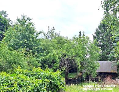 Grundstück zum Kauf 44.500 € 890 m² Grundstück Thiergarten Plauen 08527