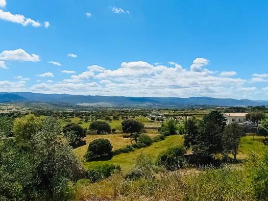 Grundstück zum Kauf 89.000 € 5.000 m² Grundstück Cagliari