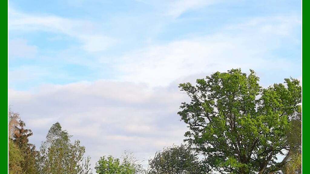 Land-/Forstwirtschaft zum Kauf 129.000 € 106.750 m² Grundstück Zossen 15806