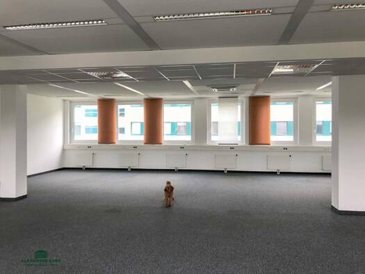 Büro zur Miete 12,50 € 355 m² Bürofläche Salzburg Salzburg 5020