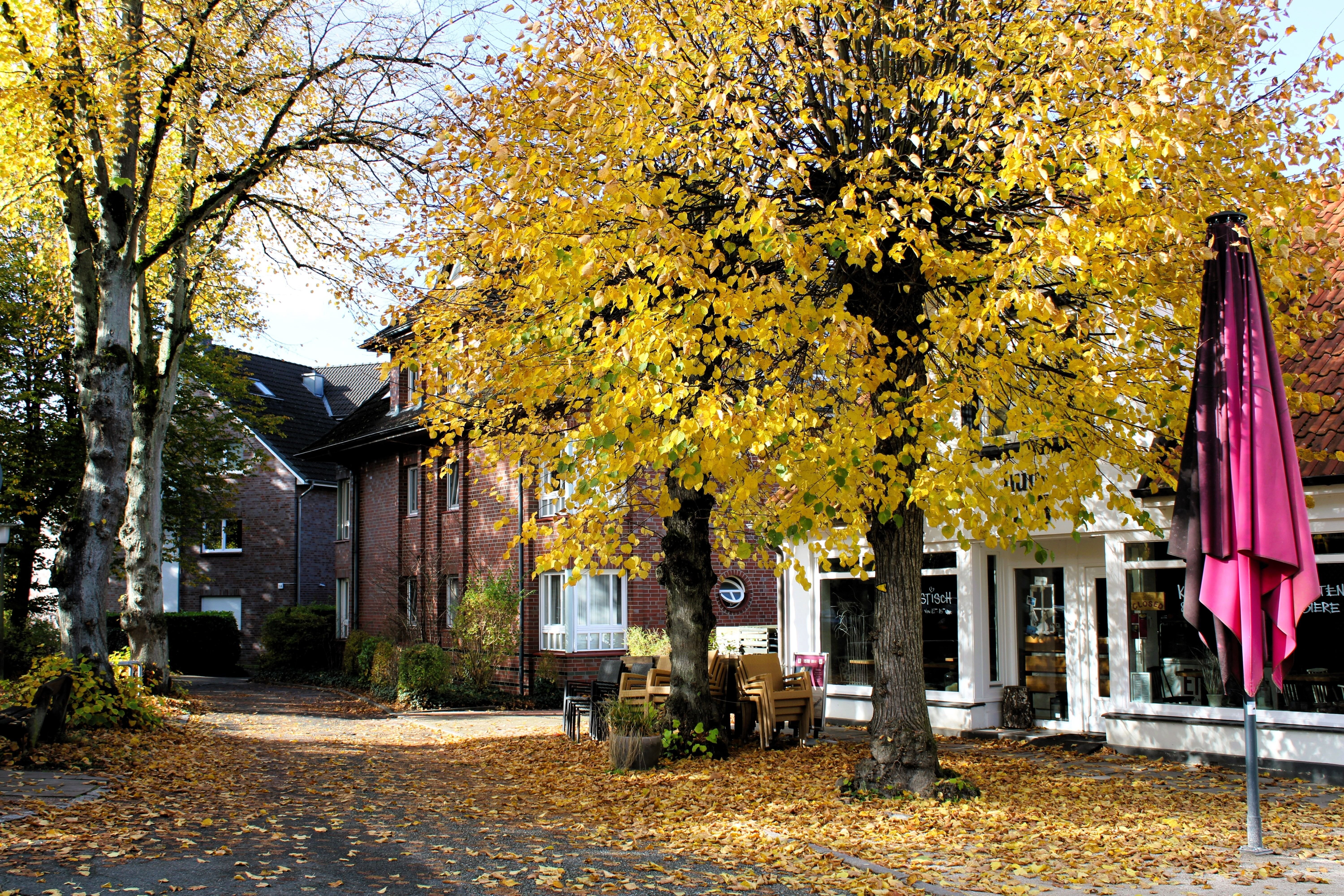 Tiefgaragenstellplatz zum Kauf 44.000 € Volksdorf Hamburg 22359