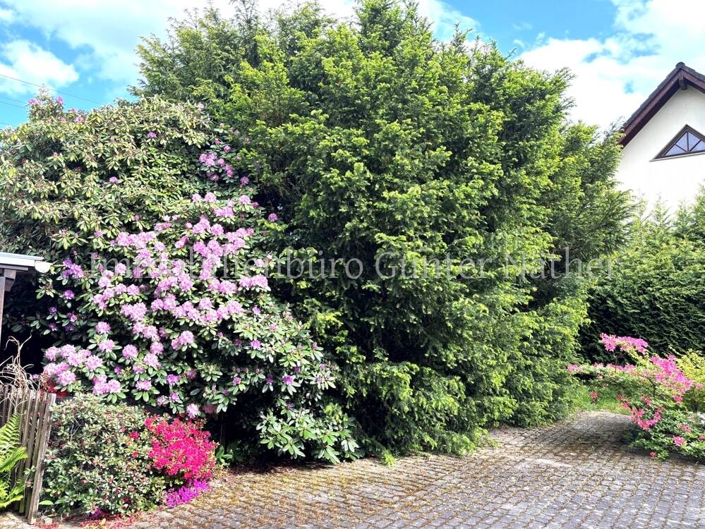 Einfamilienhaus zum Kauf - Ansicht 2