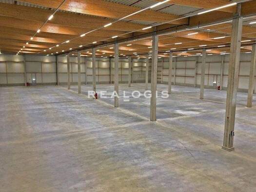 Halle/Industriefläche zur Miete provisionsfrei 10.200 m² Lagerfläche teilbar ab 1.050 m² Steinach Steinach 94377