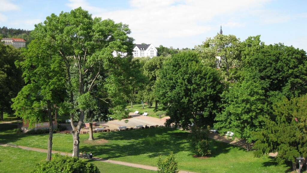 Wohnung zum Kauf 139.000 € 4 Zimmer 105 m² 3. Geschoss frei ab sofort Bad Frankenhausen Bad Frankenhausen/Kyffhäuser 06567