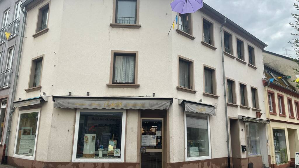 Mehrfamilienhaus zum Kauf 269.000 € 12 Zimmer 300 m² 350 m² Grundstück Merzig 66663