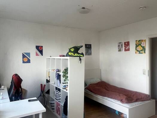 Studio zur Miete 750 € 1 Zimmer 30 m² Geschoss 9/21 frei ab 01.10.2026 Gonsenheim Mainz 55124