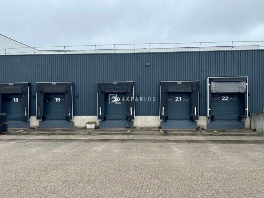 Lagerhalle zur Miete 8.500 m² Lagerfläche teilbar ab 1.200 m² Türnich Kerpen 50169