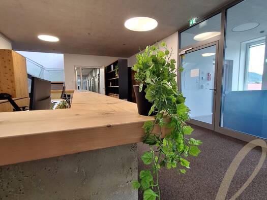Büro zur Miete Hall in Tirol 6060