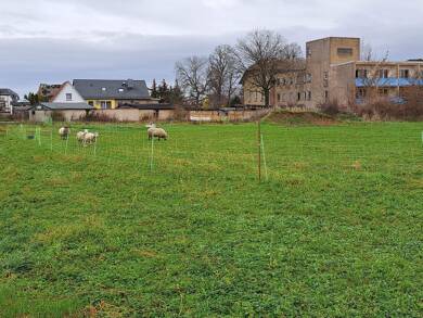 Grundstück zum Kauf als Kapitalanlage geeignet 91.000 € 1.300 m² Grundstück Am alten Gut 2 Mühlberg Mühlberg/Elbe 04931