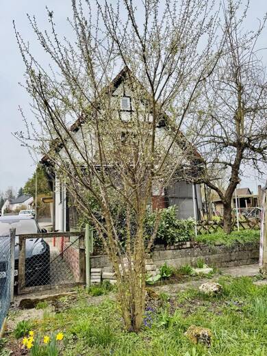 Einfamilienhaus zum Kauf 419.000 € 7 Zimmer 130 m² 431 m² Grundstück Haubersbronn Schorndorf 73614