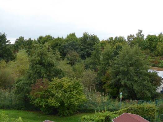 Wohnung zur Miete 950 € 3 Zimmer 73 m² 1. Geschoss Obere Römerhofstraße 146 Seulberg Friedrichsdorf 61381