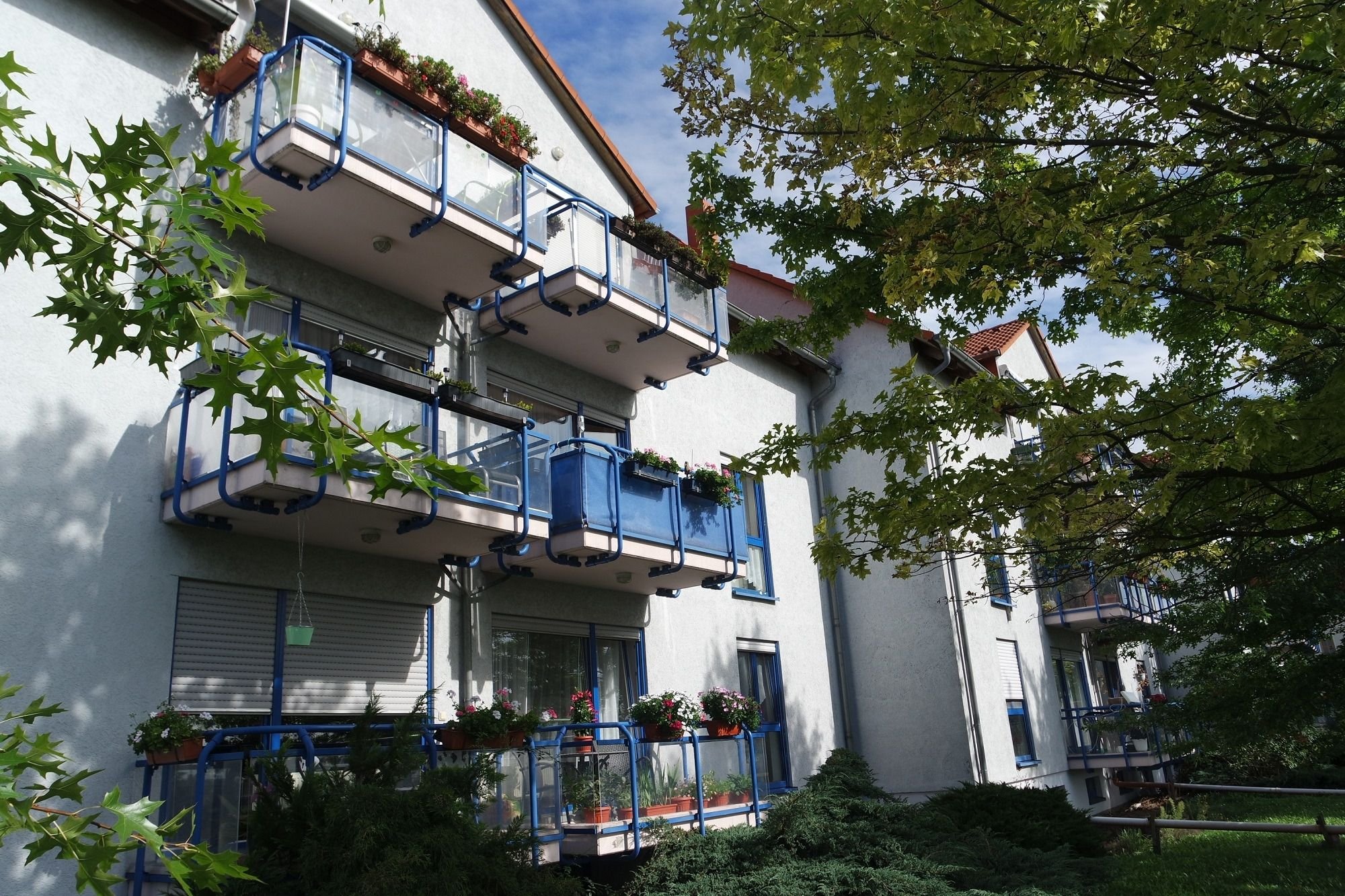 Wohnung zur Miete 320 € 1 Zimmer 40 m²<br/>Wohnfläche 01.01.2025<br/>Verfügbarkeit Feldlerchenweg 3 Günthersdorf Leuna 06237