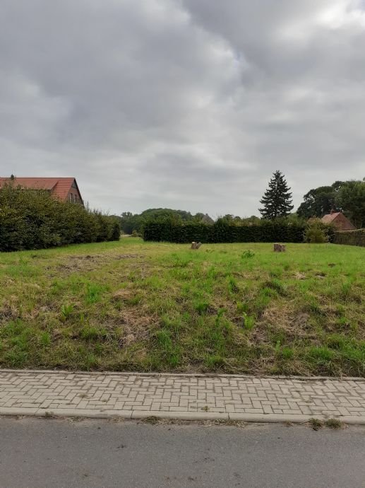 Grundstück zum Kauf provisionsfrei 70.000 € 904 m²<br/>Grundstück Zum Landgut Teschow Teterow 17166