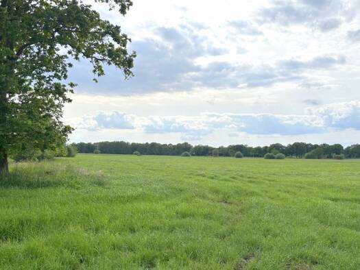 Land-/Forstwirtschaft zum Kauf 225.000 € 63.542 m² Grundstück Hollwege Westerstede 26655