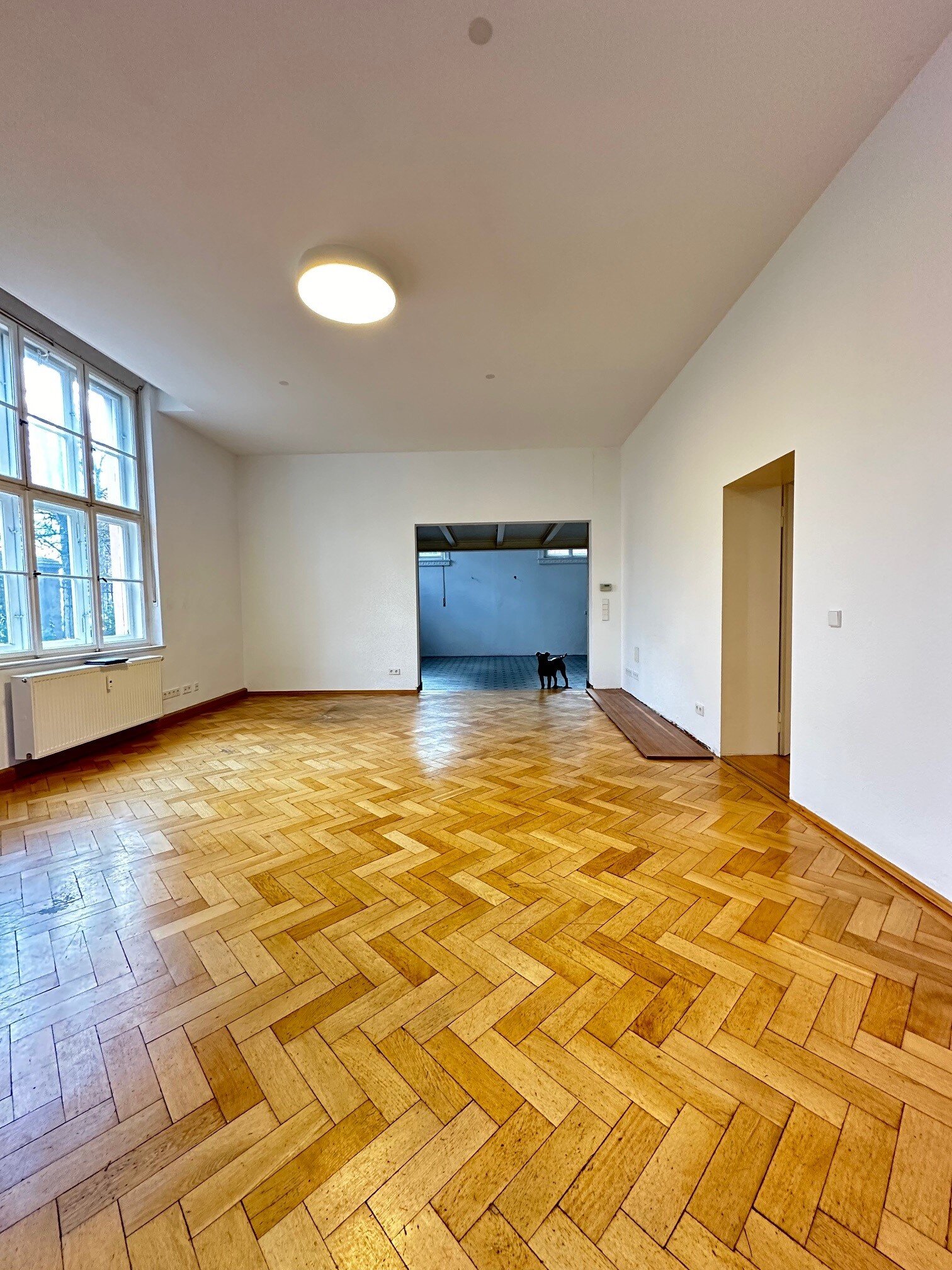 Büro-/Praxisfläche zur Miete provisionsfrei 2.250 € 5 Zimmer 125 m²<br/>Bürofläche Lachnerstraße Neuhausen München 80636