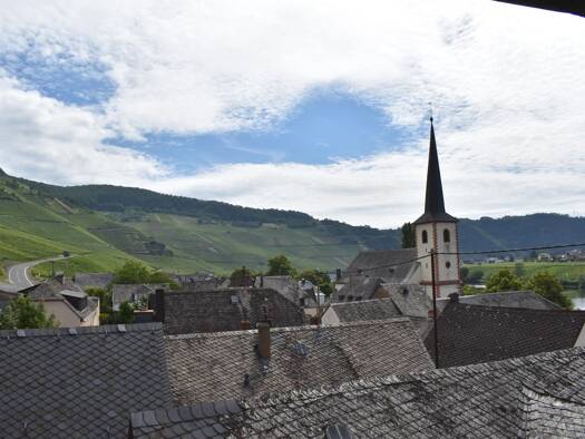 Einfamilienhaus zum Kauf 130.000 € 6 Zimmer 120 m² 307 m² Grundstück Piesport 54498