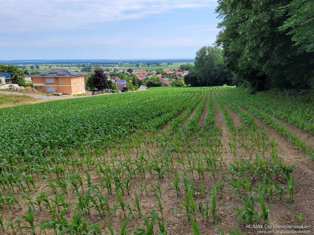 Grundstück zum Kauf 545.000 € 7.680 m²<br/>Grundstück Holzheim Holzheim 89438