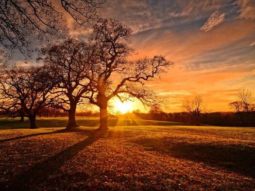 Grundstück zum Kauf 659.600 € 388 m² Grundstück Oberursel 61440