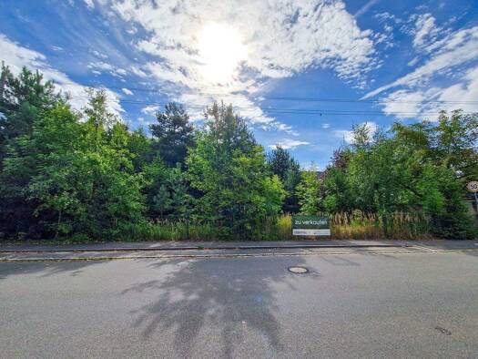 Grundstück zum Kauf provisionsfrei 299.500 € 1.010 m² Grundstück Weinböhla 01689