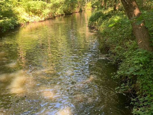 Grundstück zum Kauf provisionsfrei 215.000 € 700 m² Grundstück Ulmenweg 10 Brietlingen 21382