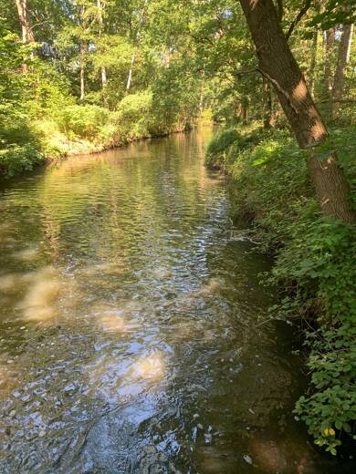 Grundstück zum Kauf provisionsfrei 299.000 € 1.075 m² Grundstück Birkenweg Brietlingen Brietlingen 21382