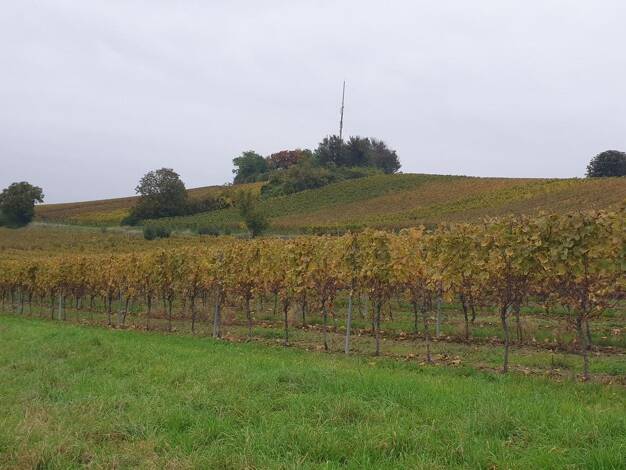 Grundstück zum Kauf provisionsfrei 260.000 € 827 m² Grundstück Am Kirchberg 16 Hackenheim 55546