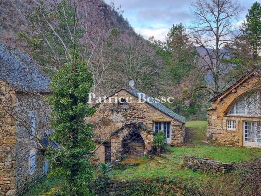 Reihenmittelhaus zum Kauf 689.000 € 10 Zimmer 184 m² 89.581 m² Grundstück Ispagnac 48320