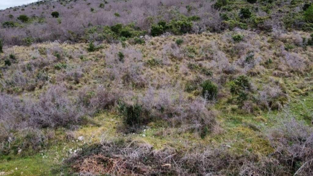 Land-/Forstwirtschaft zum Kauf 69.000 € Stankovci